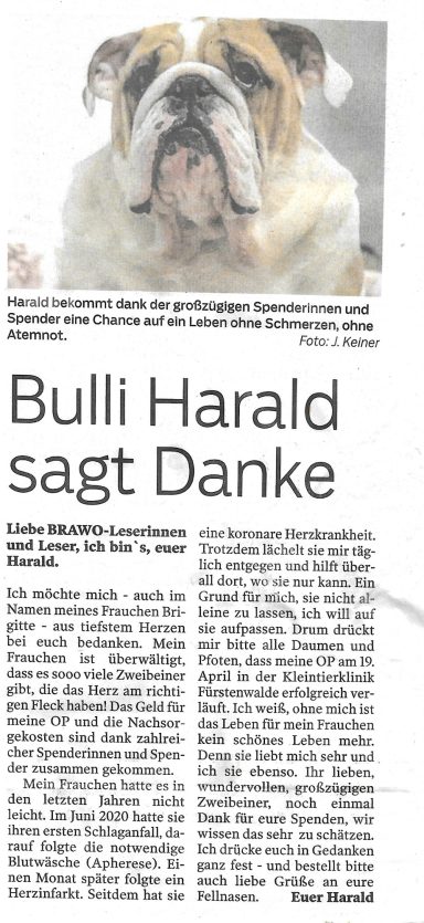 Brawo aus April 2023 Zeitungsartikel aus der Brawo aus April 2023. Bulldogge Harald hat Paten gefunden. OP Kosten gedeckt