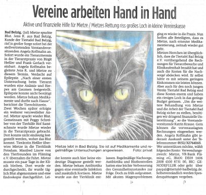 Zeitungsartikel aus der Brawo vom 19.02.2017. Die Katze Mietze benötigte dringend teure Behandlung in der Tierklinik. Tiertafel sucht Spende