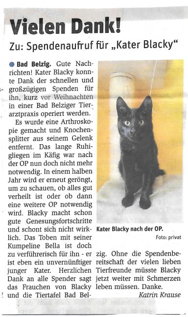 Der erfolgreiche Spendenaufruf für Kater Blacky