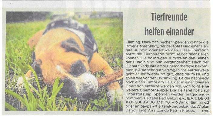Zeitungsartikel aus der Brawo vom 31.10.2018 über Boxerhündin Skady. Spendenaufruf für OP und Chemotherapiekosten.